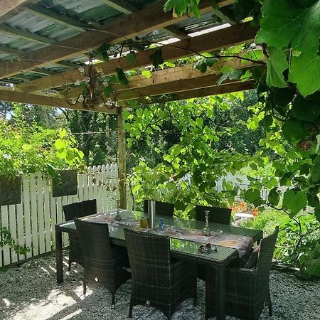 Pheasant Lodge Paparoa Екстериор снимка